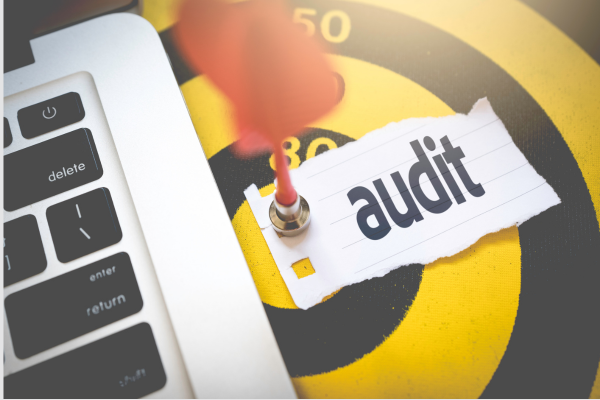 Audit applicatif